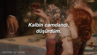 Taylor Swift - champagne problems (Türkçe Çeviri)