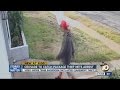 Homeowner relentless in catching package thief