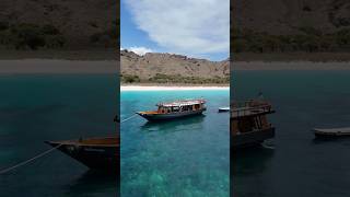Download Lagu One Day in Paradise: Luxury Komodo Trip 🚤🌅 Book Now MP3
