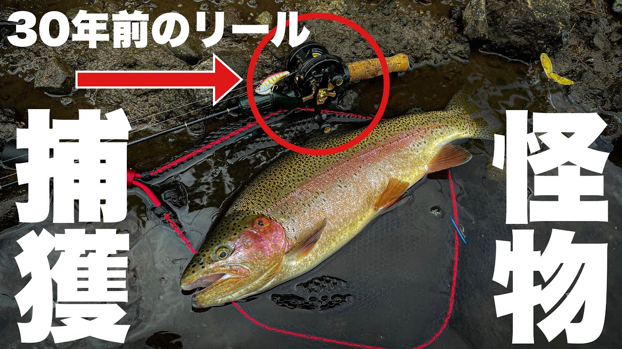 30年前のリールで巨大ニジマスと尺ヤマメが一気に釣れちゃった！ABU Ambassadeur 4601C カスタムリール　南佐久漁協　佐久漁協　上小漁協　ヒトトキワークス　avail