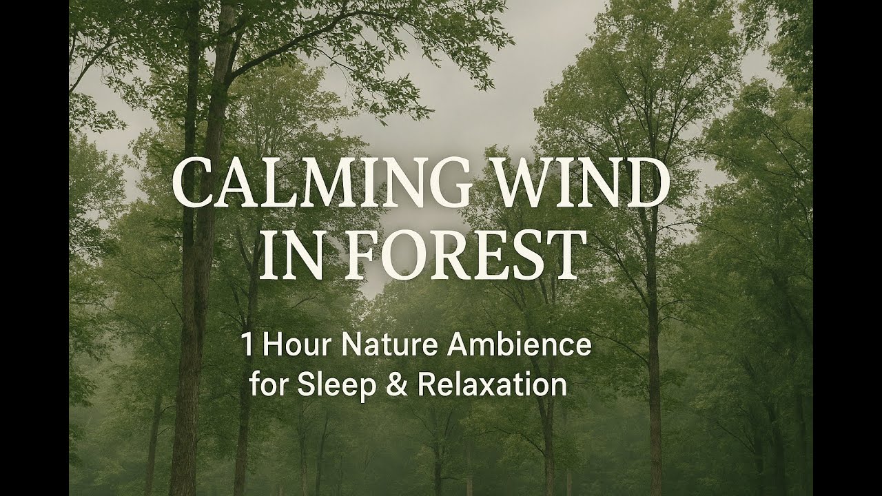 Gentle Wind Sounds for Sleep & Relaxation | 1 Hour of Soothing Nature ...