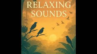Relaxing Sounds – Jungle Birds Dawn Chorus | Sleep, Study, Focus | (8 Hours)