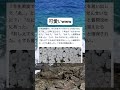 子供体温高いよなwww #小学生 #笑える #かわいい #shorts #バズれ