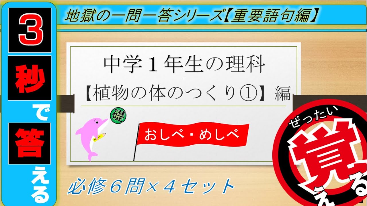 中1理科 植物の体のつくり おしべ めしべ 絶対暗記 4回繰り返して覚える 一問一答 Youtube