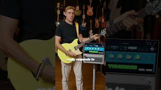 A2 NAM + TONE3000 are now inside LAVA STUDIO.