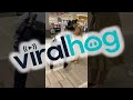 Cat Breaks Into Mall For Belly Rubs From Security Guard ViralHog