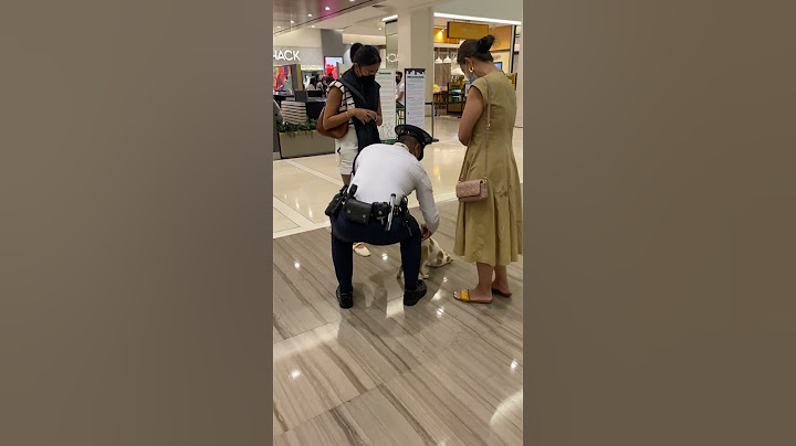 Cat Breaks into Mall For Belly Rubs From Security Guard || ViralHog