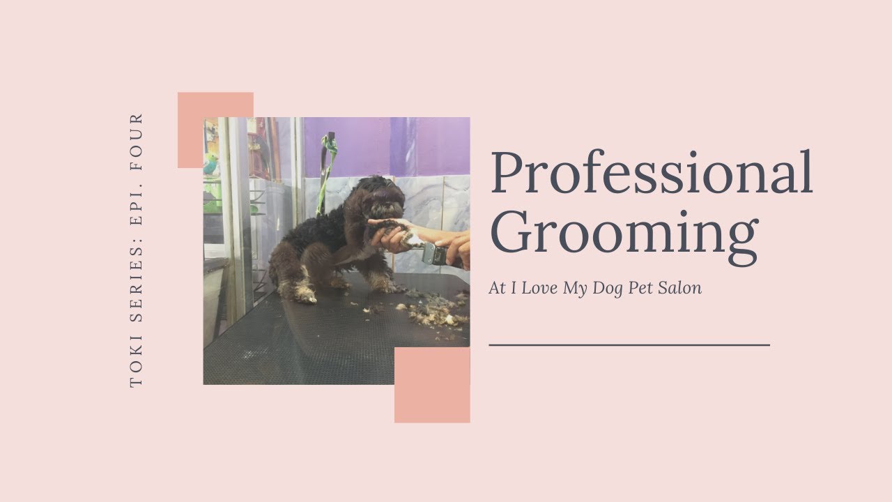 Toki Series Grooming Time at I Love My Dog Pet Salon Baguio
