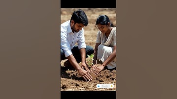 A couple waters an apple tree to save it from drying up #ai #plants #save #water