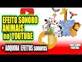 Sons de animais em efeito sonoro  som de animal para voc usar em vdeos