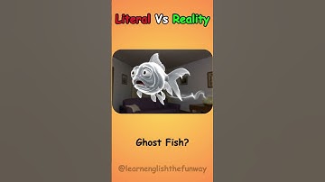 Literal Vs Reality English Compound Words | 021