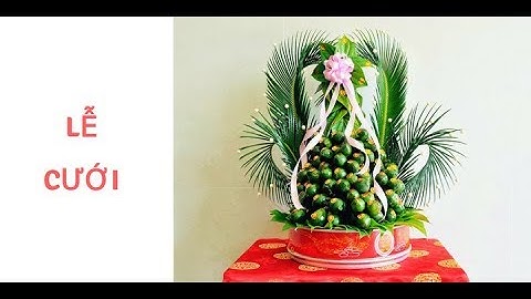 TOÀN BỘ PHONG TỤC CƯỚI HỎI CỦA VIỆT NAM BẠN NÊN BIẾT. SÁCH THỌ MAI GIA LỄ