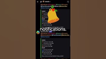 Plants Vs Brainrots Discord Stock Notifier! #plantsvsbrainrots #pvb #roblox #stock