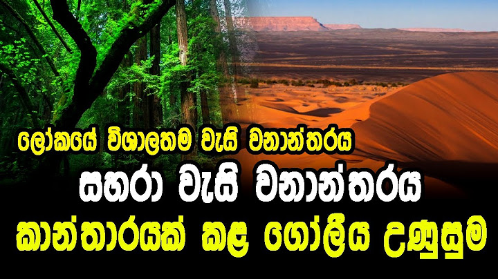 සහරා කාන්තාරයේ සැගවුණු රහසක් හෙළිවෙයි l The Secret Of Desert Sahara l  Dasatha TV