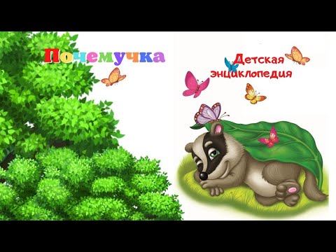 0+ Интересные факты о барсуках. Почемучка. Детская энциклопедия.