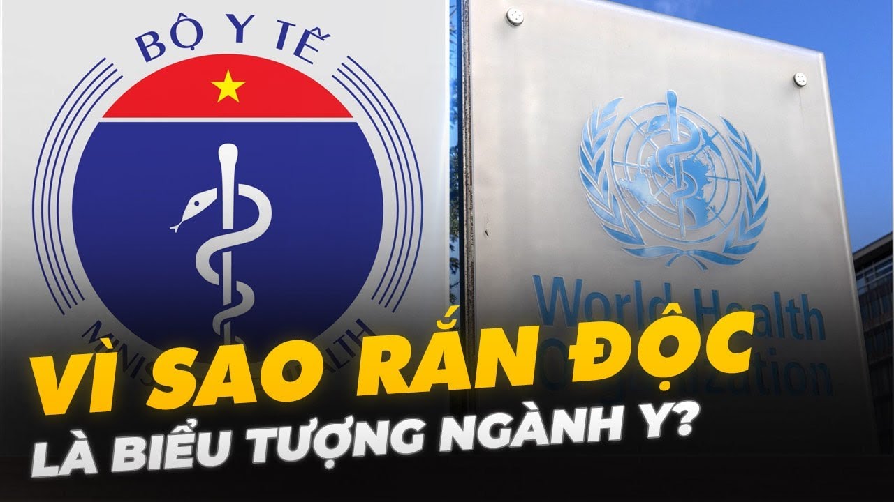 VÌ SAO RẮN Đ*Ộ*C LÀ BIỂU TƯỢNG NGÀNH Y?