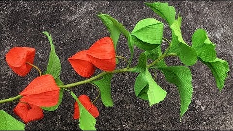 ABC TV | How To Make Physalis Alkekengi Flower From Crepe Paper - Craft Tutorial