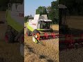 Claas Lexion 550 bei der Weizenernte 2022 | Lohndrusch | Mähdrescher