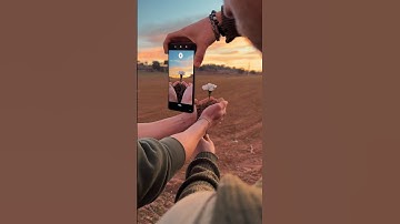 Flower Reverse Effect 📱🔄 with @xiaomi #xiaomi13ultra #flowers #sunset #photoshoot