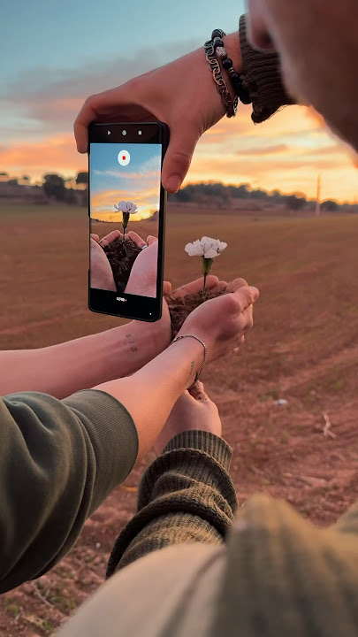 Flower Reverse Effect 📱🔄 with @xiaomi #xiaomi13ultra #flowers #sunset #photoshoot