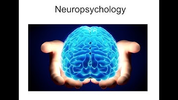 Neuropsychology 7.4: Spatial Behavior and the Brain