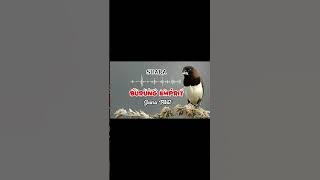 Suara Pikat burung Emprit tergacor #suarapikatburung #kicaumania #emprit