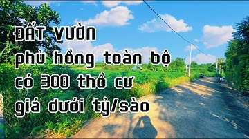 MỆT MÕI NGÂN HÀNG ! chị mai cắt lỗ bán đất vườn có 300 thổ cư ở bà rịa vũng tàu