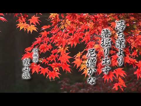 きょうの俳句【兼題：落葉】霞山旅（宮城県）作　2020年11月9日放送（No.399）