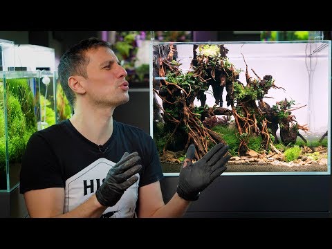 PLANTED AQUARIUM SETUP - A SPECTACULAR FOREST AQUASCAPE IN JUST 80 LITERS