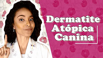 Como acabar com dermatite em cachorro?