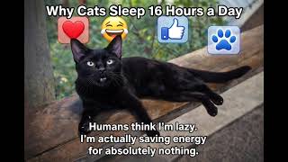 grok video 6f182d21 6fd7 430f aef0 548f8b1699f1 5