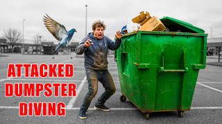 ATTACKED BY WILDLIFE🦅😂 WHILE DUMPSTER DIVING IN THE UK