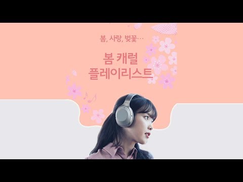 [보말트랙] 봄, 사랑, 벚꽃… 봄에 듣기 좋은 봄 캐럴 플레이리스트