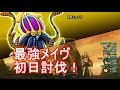 【ドラクエ10】最強海冥主メイヴ（レベル４）最速討伐！