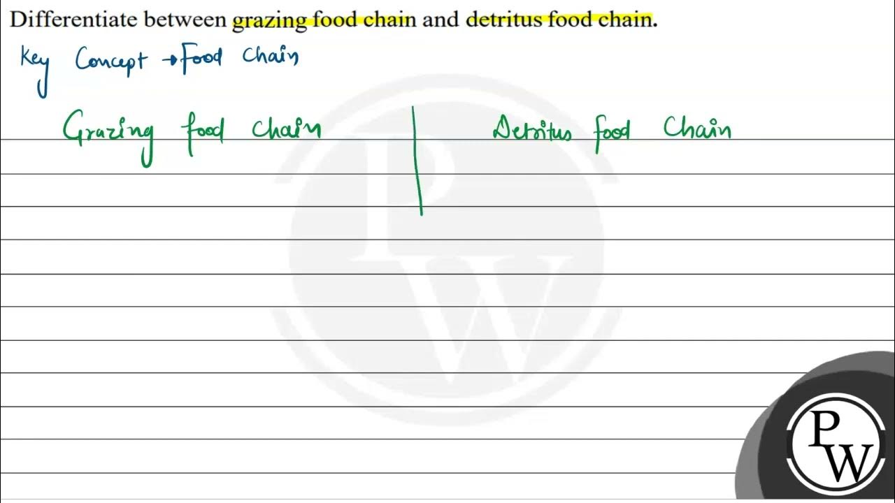 differentiate-between-grazing-food-chain-and-detritus-food-chain-p-w