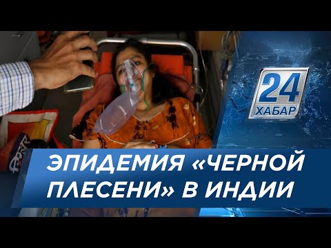 «Черная плесень»: в зоне риска люди с пониженным иммунитетом и диабетом