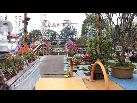 台灣的莫內花園/九品蓮花生態教育園區/台南休農/跟著節氣玩南農