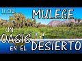 🌴《MULEGE un OASIS en el DESIERTO》 BAJA CALIFORNIA SUR ❤ MEXICO 👪 TOUR FAMILIA VIAJERA