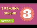 3 режима жизни