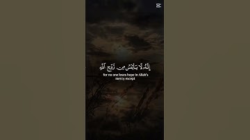 خالد الجليل #تلاوة_مميزة #اكسبلور #قرآن #تيك_توك #خالد_الجليل #تلاوة_خاشعة #تلاوة_نادرة_لاول_مرة