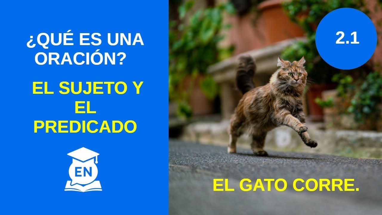 Nivel 2 Lección 1 – ¿Qué es una Oración? Sujeto y Predi… — Transcript