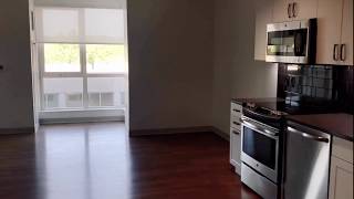 #609 A12 1Bd1Ba Park/Courtyard View Grey Scheme 690 Sqft | Serenity Boston