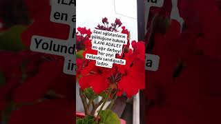 ilahi adalet