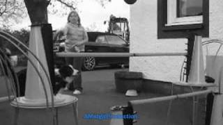 BewareOfTheDog♥ TobyShowjumping