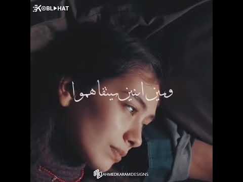 رامي صبري غريب الحب حالات واتس