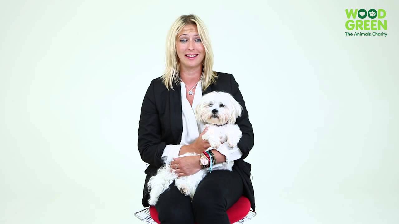 pets at home Wood Green ambassador Ali Bastian shares her support for National Unwanted Pet Week