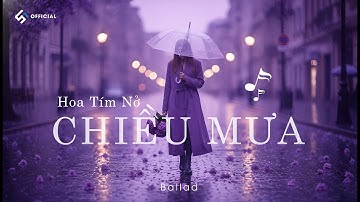 Hoa Tím Nở Chiều Mưa – Ballad Buồn Tâm Trạng | Nhạc Buồn 2025 #sixteoofficial