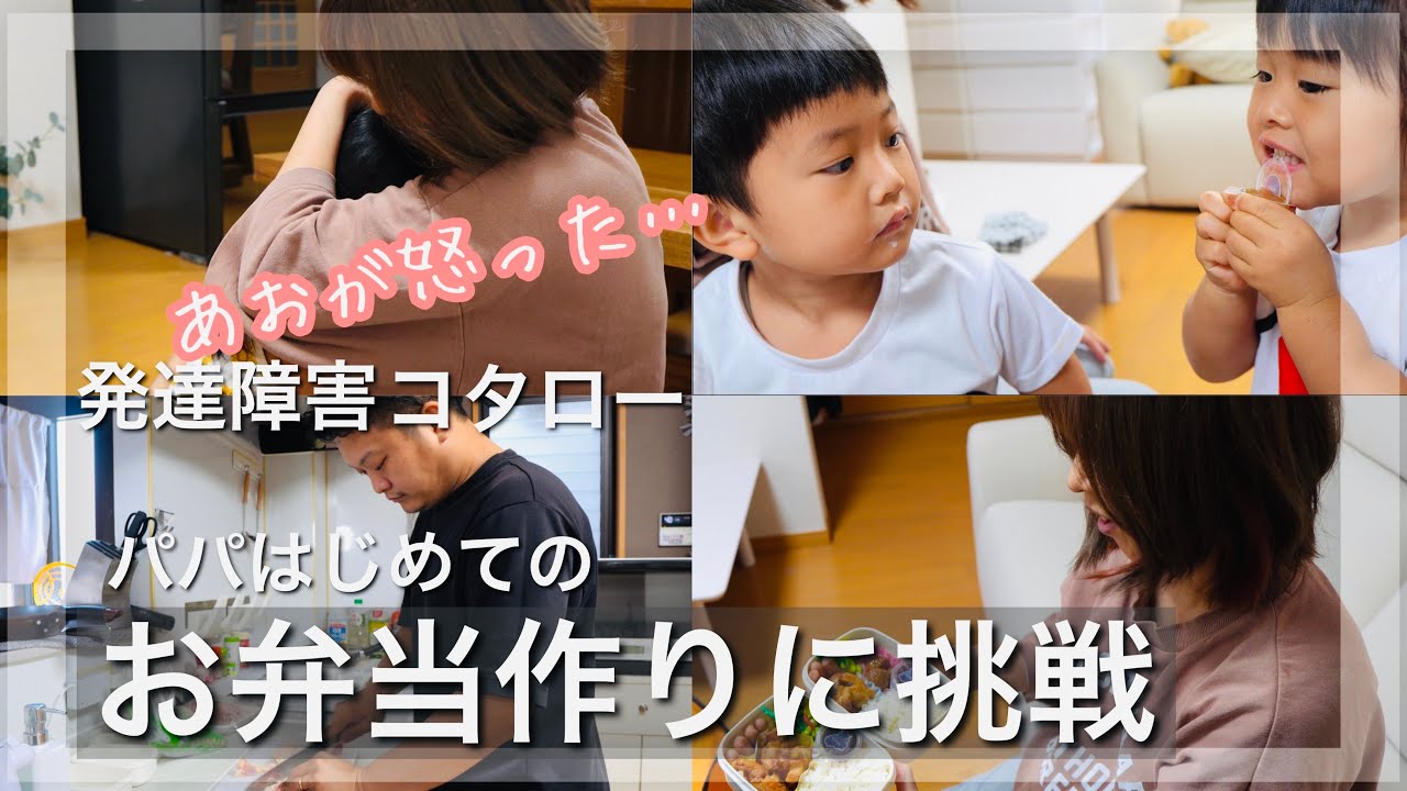 【大奮闘】パパ初めてのお弁当作り【あおが不機嫌…対処法は】