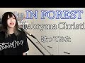 IN FOREST / La'cryma Christi 歌ってみた 【Cover】