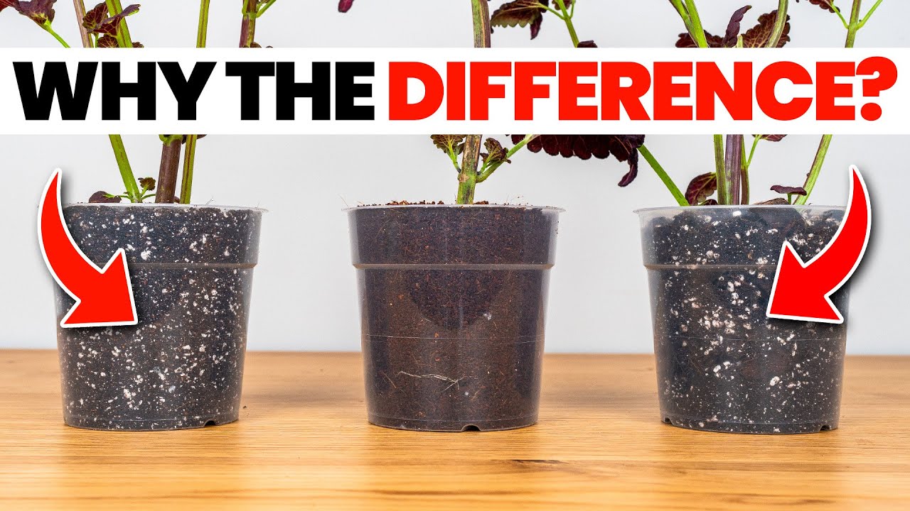 What Pros Know About Soil That Beginners Don't